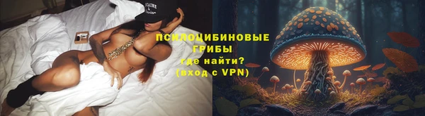 прущая мука Алзамай