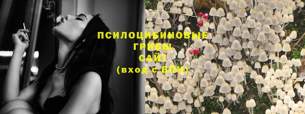 СК Аркадак