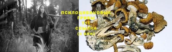 прущая мука Алзамай