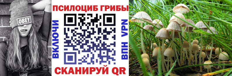 МЕГА зеркало Куйбышев Галлюциногенные грибы мухоморы
